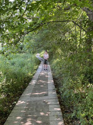 Trail in.. lulled is into a sense of 'yes, what a nice beginner hike!'