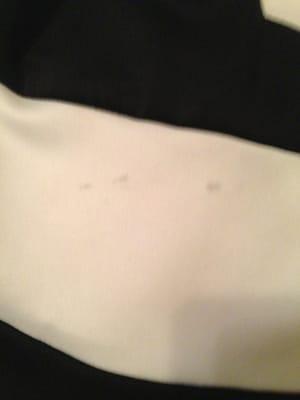 Horrible stain my dress came back with.