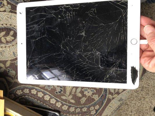 Severely broken iPad