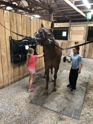 Learning to groom