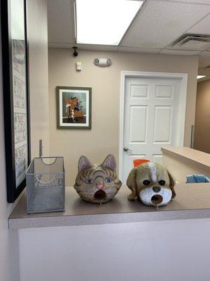 Center for Veterinary Dentistry & Oral Surgery