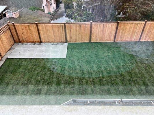 New fence, sod, paver patio