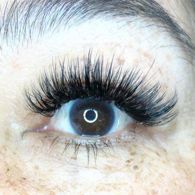 Volume Lashes