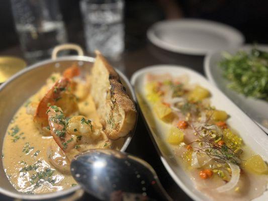 Shrimp appetizer and crudo