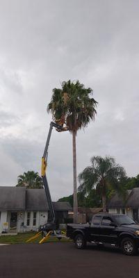 Sharp Cut Tree Service