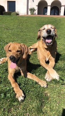 These two are so clean and well taken care of. The daycare is very nice and unique.. knowledgeable staff