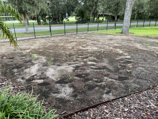 Above Ground Landscape & Nursery