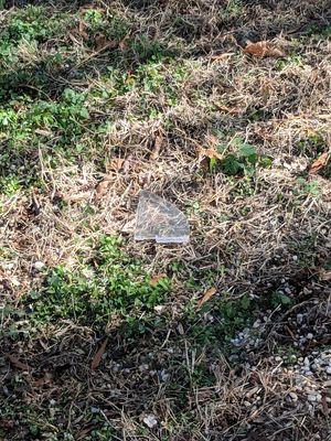 Plastic shard in the yard.