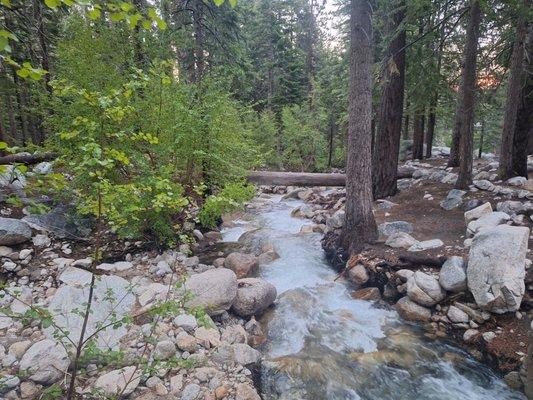 Watched the creek get stocked with trout