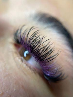 Wispy doll eye with purple color