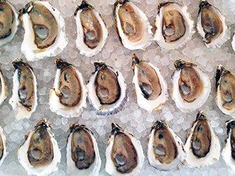 Wellfleet oysters