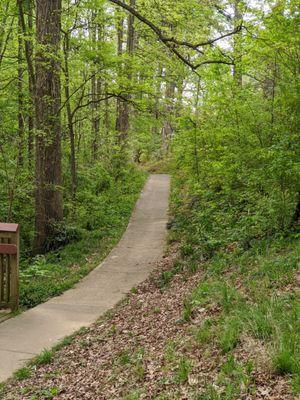 Shamrock Park, Charlotte