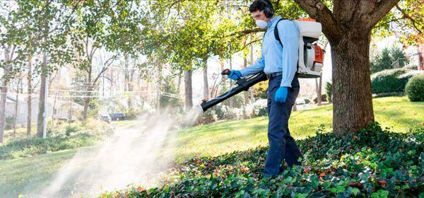 Our mosquito control treatments reduce the number of mosquitoes and provides a barrier against them entering your yard.