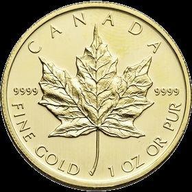 Gold Canadian Maple