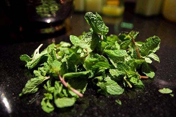 Fresh Mint Leaves for mojitos