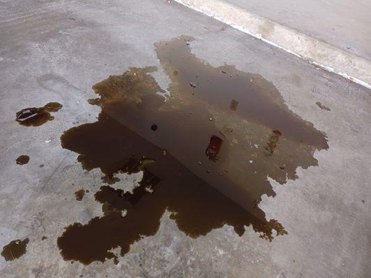 After KWIK START, I woke up to all of the oil in my crankshaft on my garage floor. May quarts in that puddle.