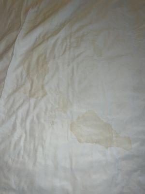 Stained sheets