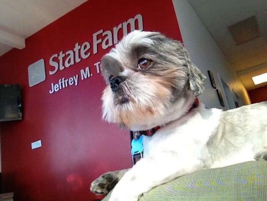 Sparky is our full time Office Mascot!  He takes his job very seriously as you can see:)