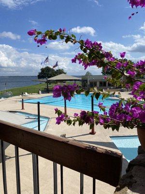 Pool view