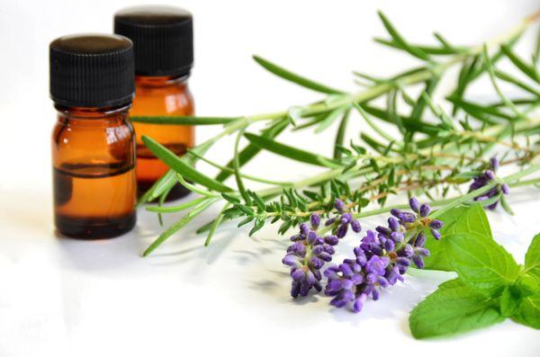 Despite their name, essential oils are not oils but are aromatic, volatile substances or essences extracted from a plant, herb or flower.