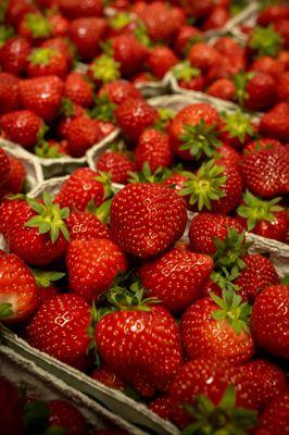 Get Excited!! First of the season "Wendy Variety" Michigan Strawberries are here!