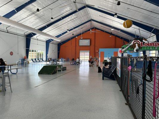 Indoor dog park