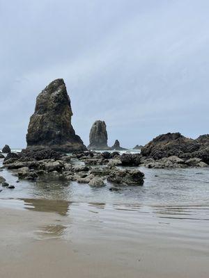 A short walk to Cannon Beach tide pools from Lighthouse Inn.