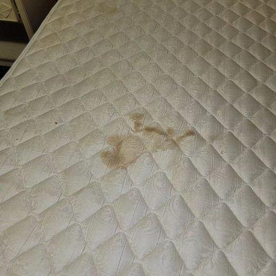 Disgusting rooms!! Even bed bugs avoid this room.