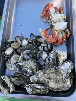 A dozen oysters, a pound of clams and a crab!