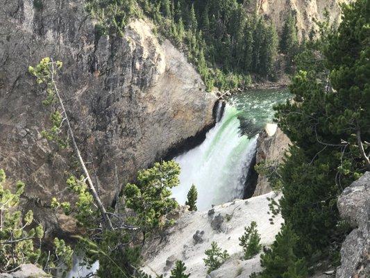 Yellowstone Falls, MT