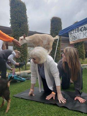 Mom with a Billy Goat at Yoga