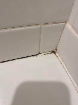 This is the tile around the tub in the bathroom of a $240/ night room.