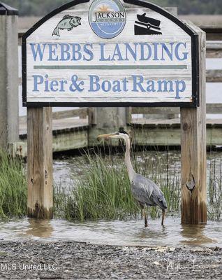 Houses on deep water are expensive. Call for help finding a house near a public boat ramp.