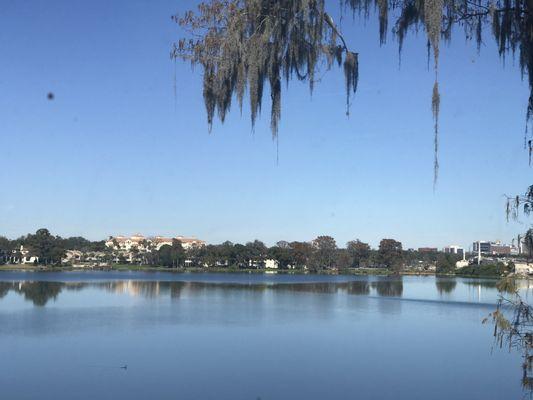 View from my window of Downtown Orlando & Lake Concord