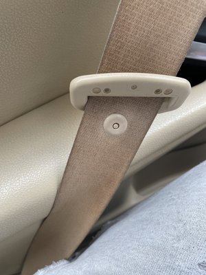 Filthy seat belt