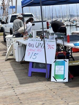 Saturday Fishermen's Market