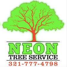 Serving Brevard County, Neon Tree Service