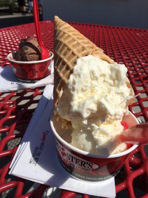 Coconut pineapple cone and raspberry truffle dish! Perfect on a 74 degree day