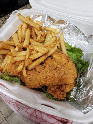 Chicken tenders and fries- standard but enjoyable