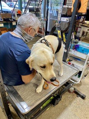 Glenn is using the dremel on Lucy's nails.