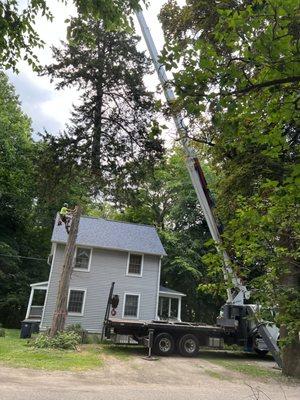 Dangerous removal, using the crane to lift out of the ravine area. Great job team!