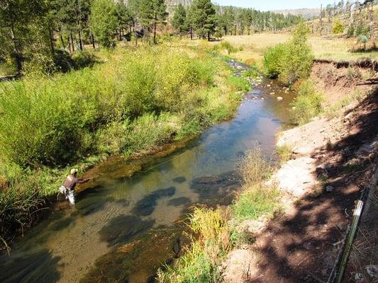 Fly Fish Arizona & Beyond