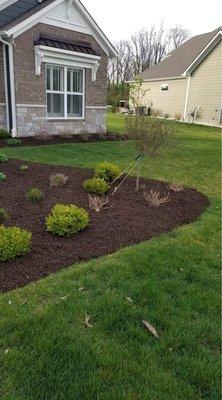 Hired Property Masters to clean up our beds in Spring and place new mulch.