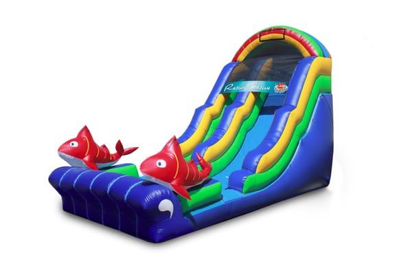 Ragin Cajun Water Slide Rental - New Orleans, LA