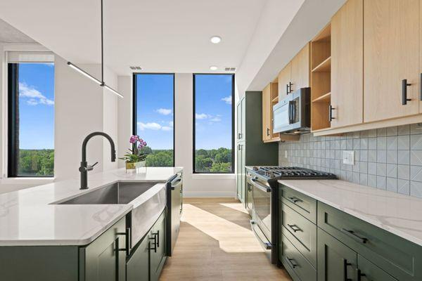 Contemporary kitchens with quartz countertops and sleek black slate appliances