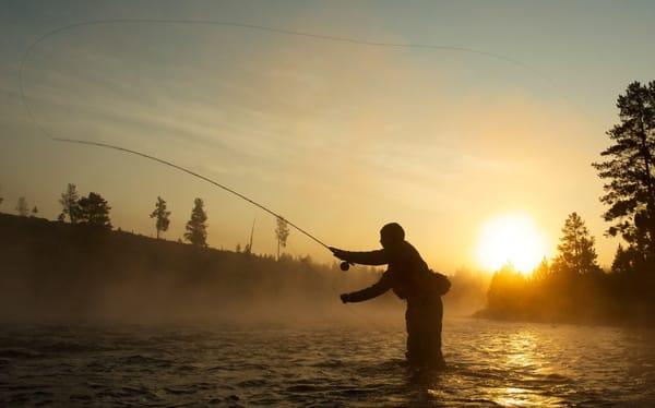 Early morning in YNP

Photo: Chris Daniel