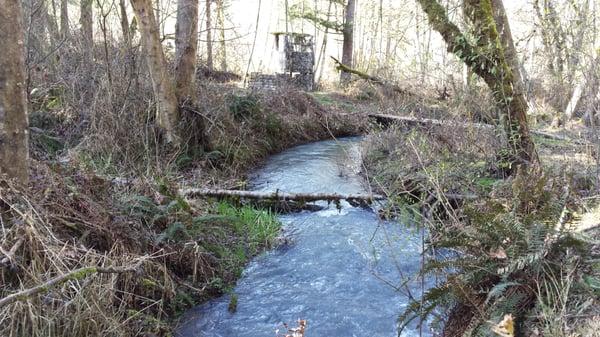 One of #2 creeks