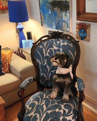 Frankie approves of this gorgeous chair. Thank you Marc Tash!