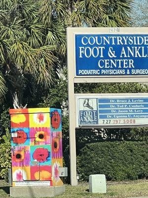 Foot & Ankle Specialists