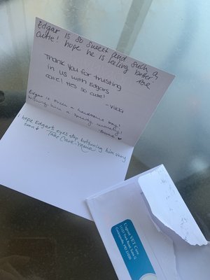 Great service, they called me the day after to check up on my animal and sent me a handwritten card in the mail.